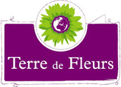 Fleuriste Decoration Florale